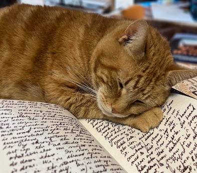 Joan M Brooks - Orange Tabby Cat